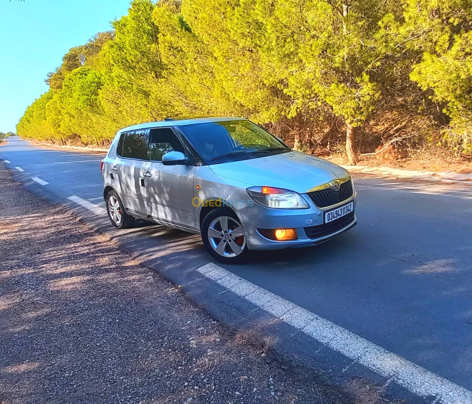 Skoda Fabia 2013 Fresh