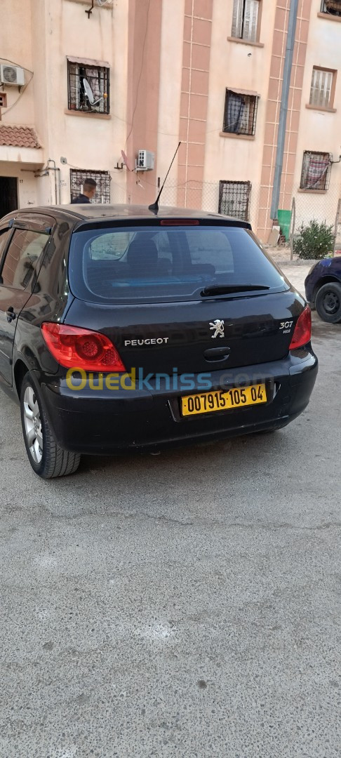 Peugeot 307 2005 307