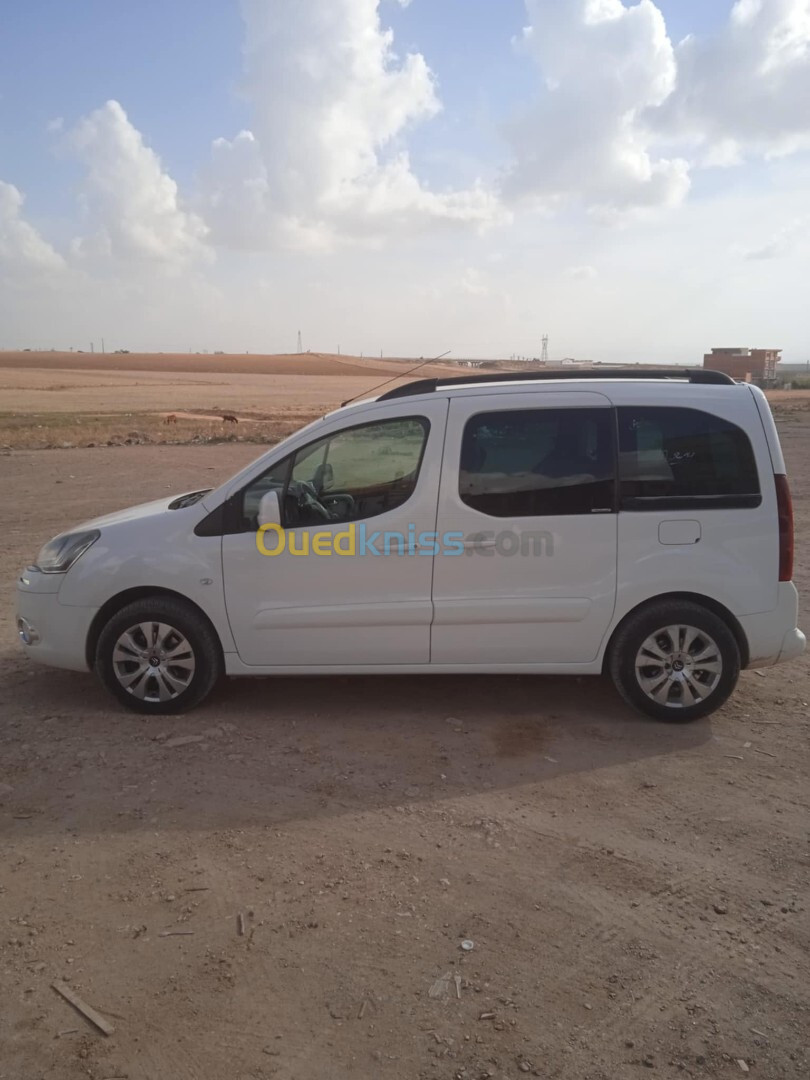 Citroen Berlingo 2014 Berlingo