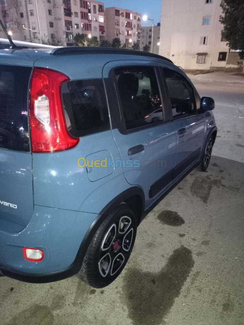 Fiat Panda 2022 Panda