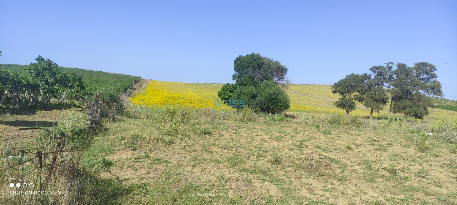 Vente Terrain Boumerdes Zemmouri