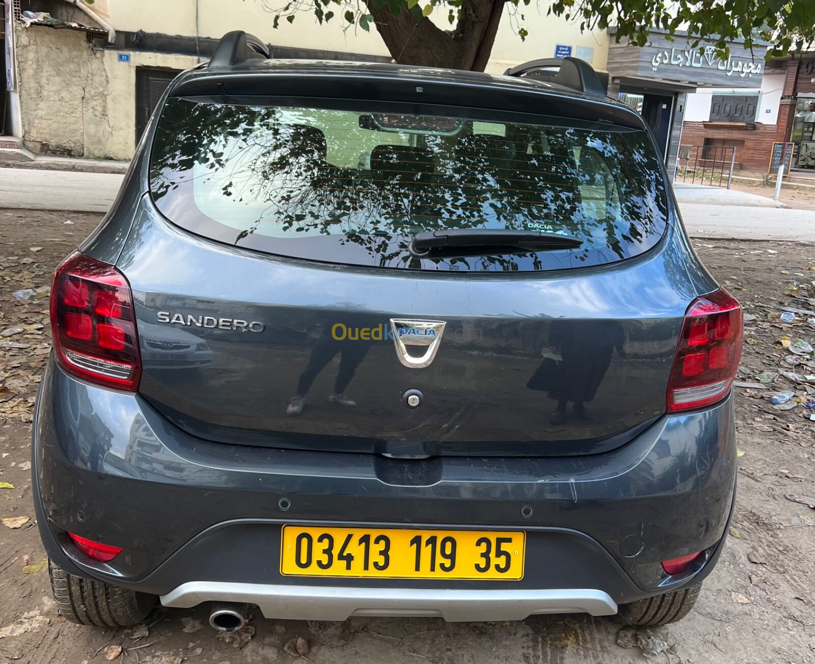 Dacia Sandero 2019 Stepway TECHROAD