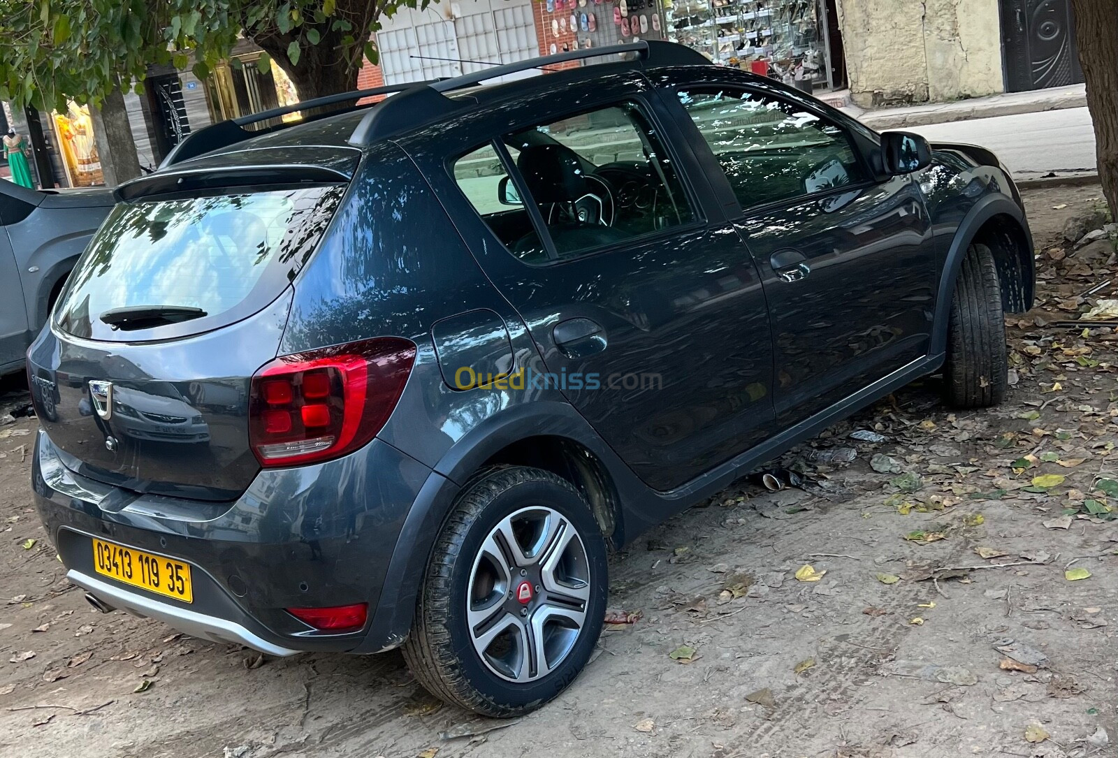 Dacia Sandero 2019 Stepway TECHROAD