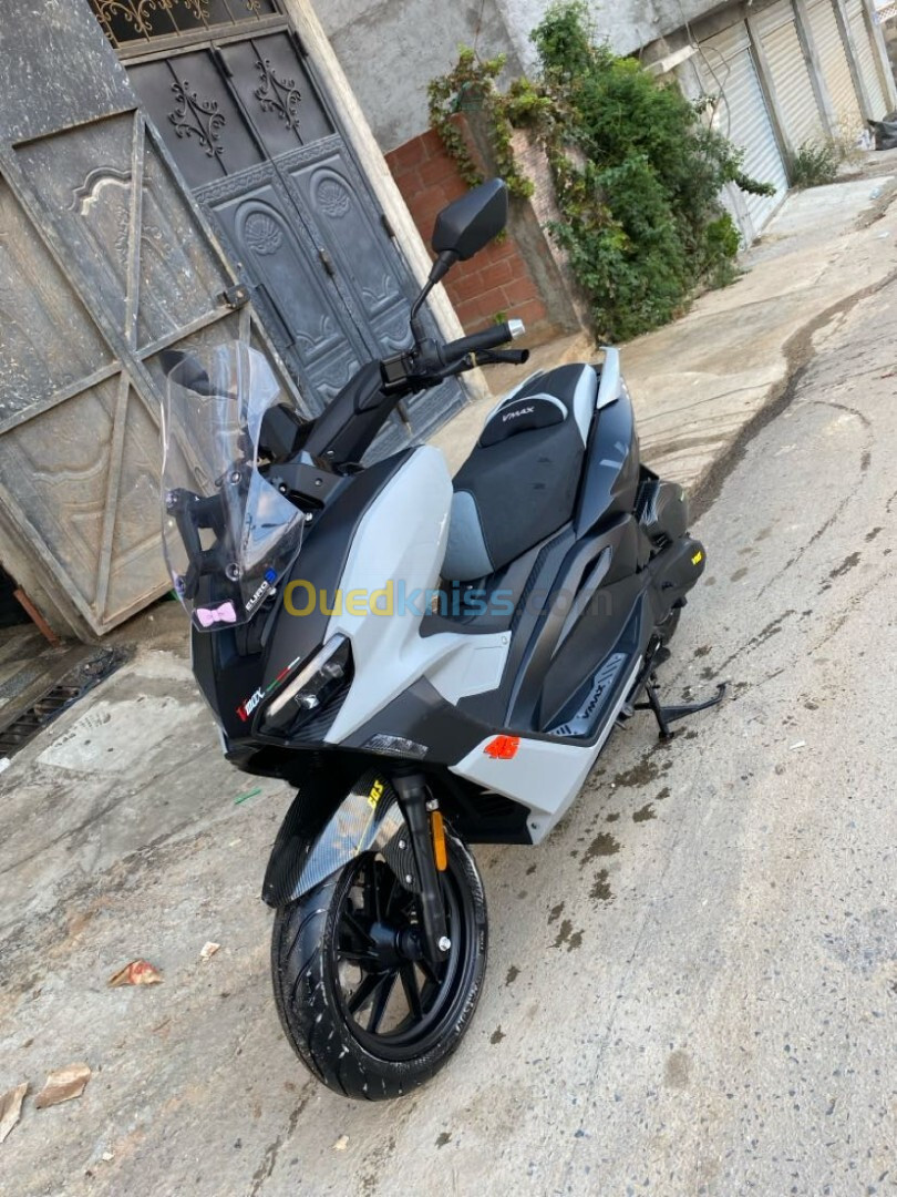 V MAX 200 cc VMS 2024