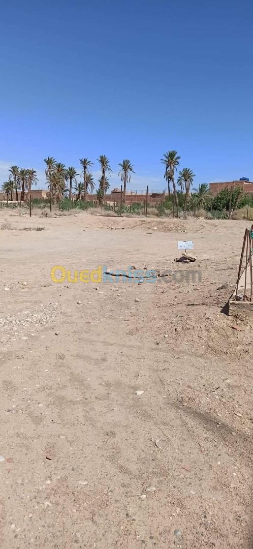 Vente Terrain Biskra El outaya