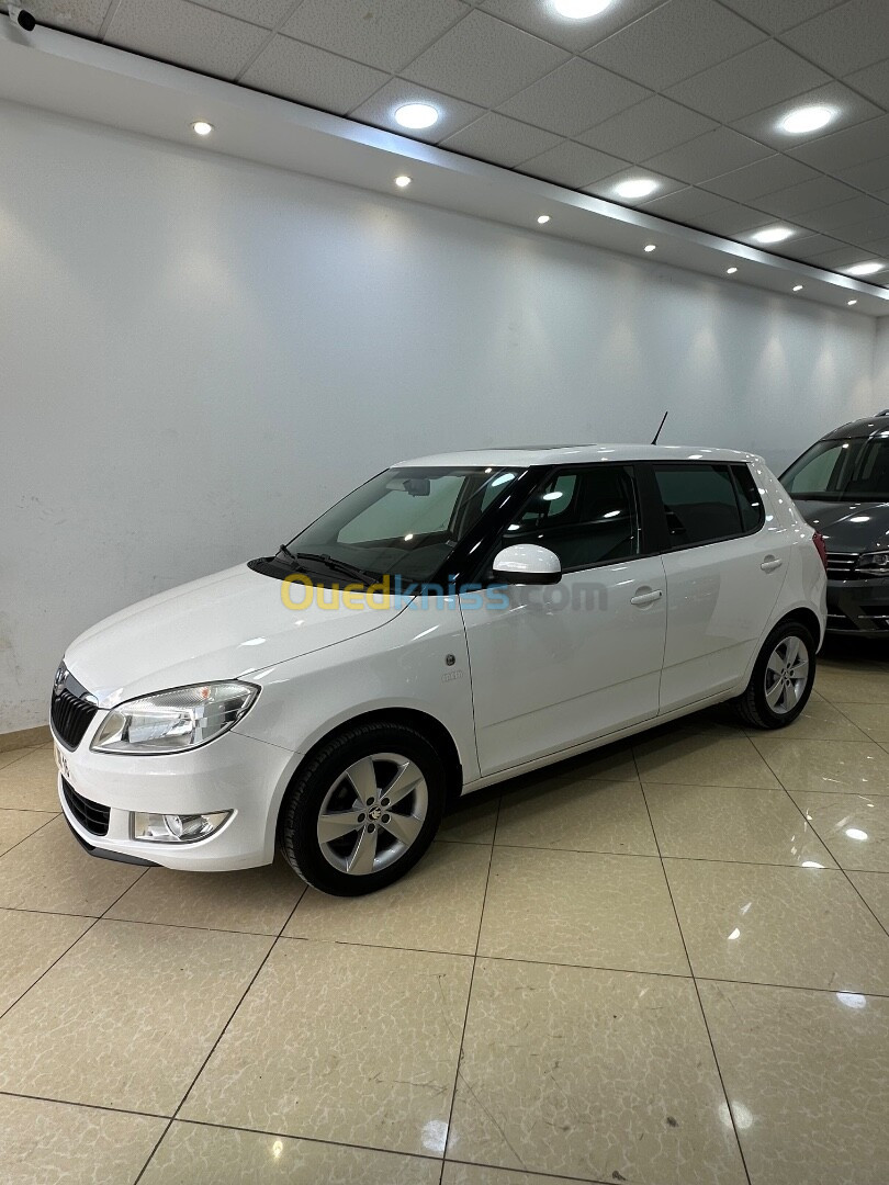 Skoda Fabia 2013 Fresh