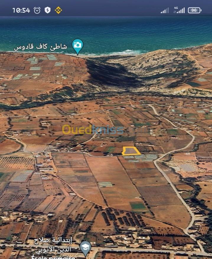 Vente Terrain Mostaganem Khadra