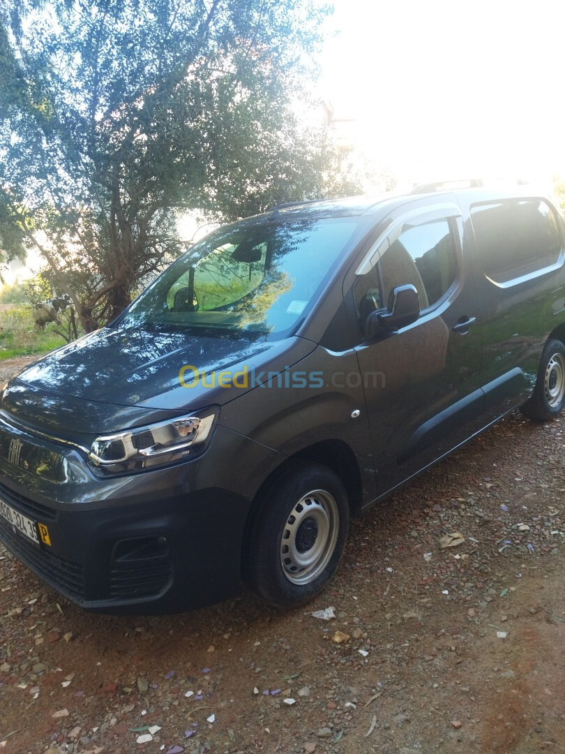 Fiat Doblo 2024 Professionnel