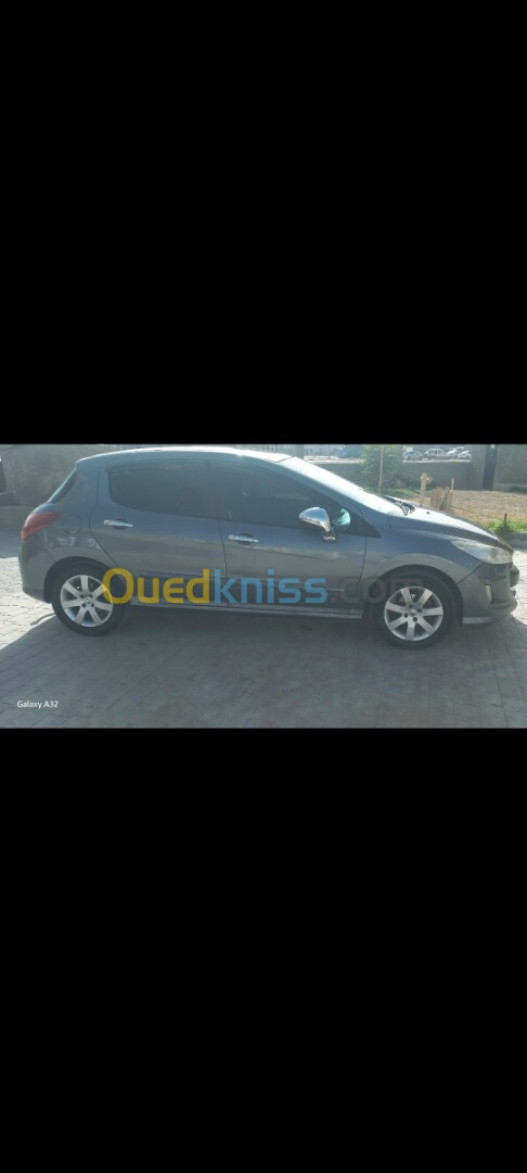 Peugeot 308 2010 Platinum 