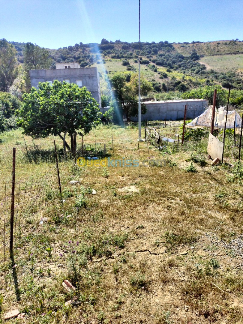 Vente Terrain Boumerdès Zemmouri