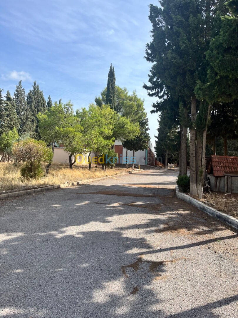 Vente Villa Sétif Mezloug