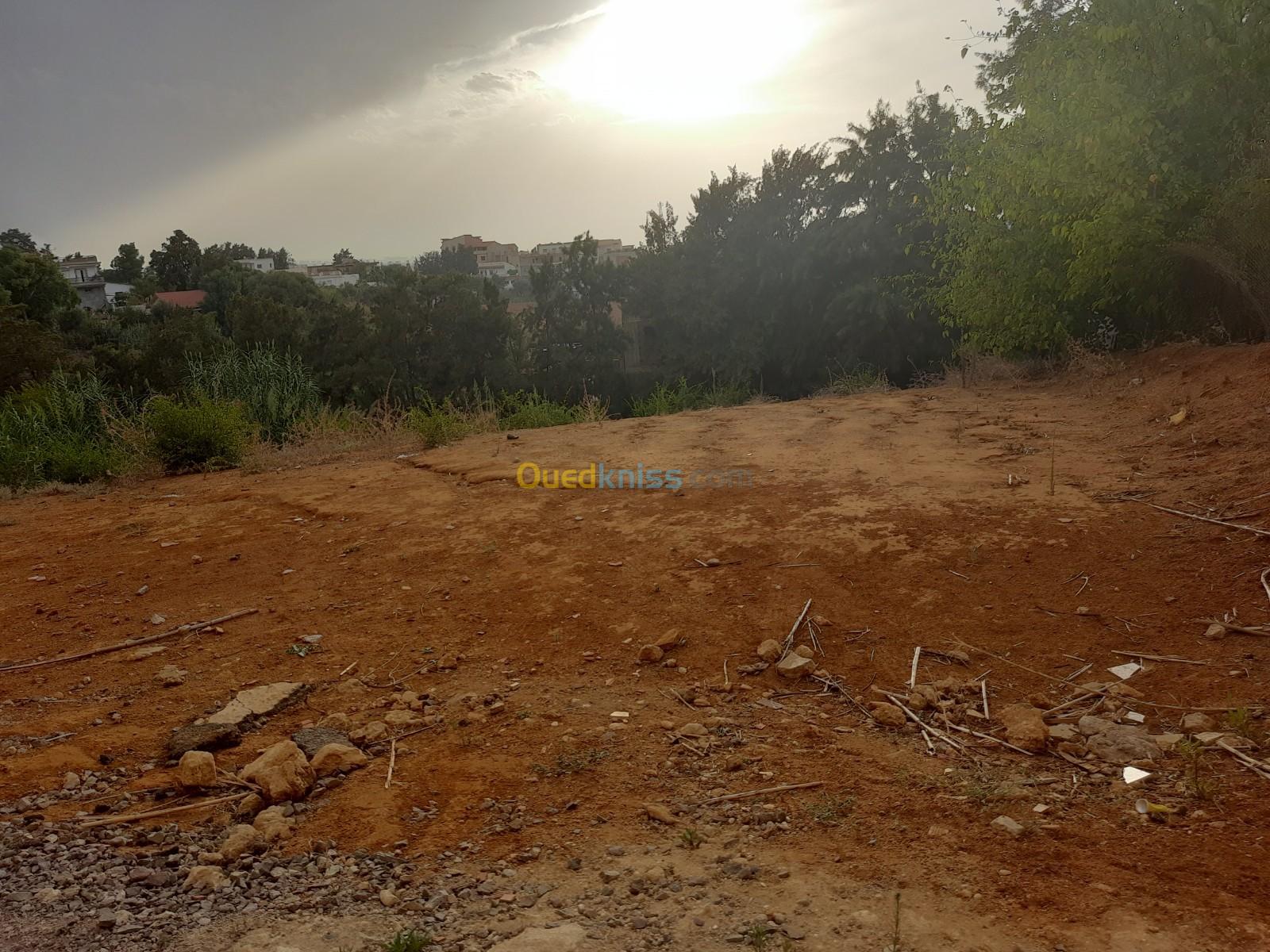 Sell Land Algiers Ouled fayet