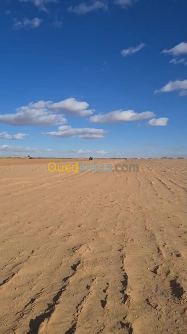 Location Terrain Agricole Djelfa Ain oussara