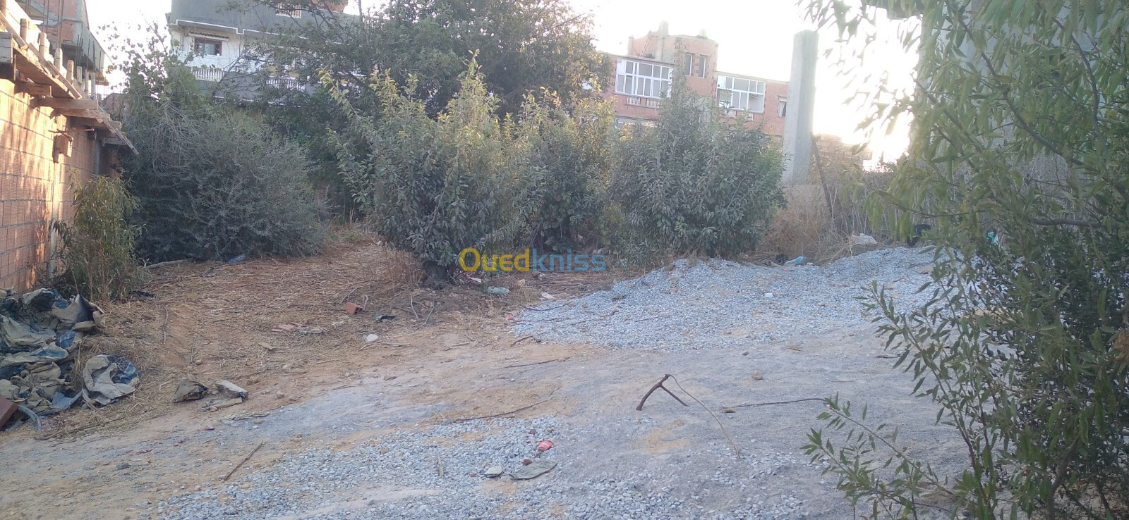 Vente Terrain Alger Khraissia