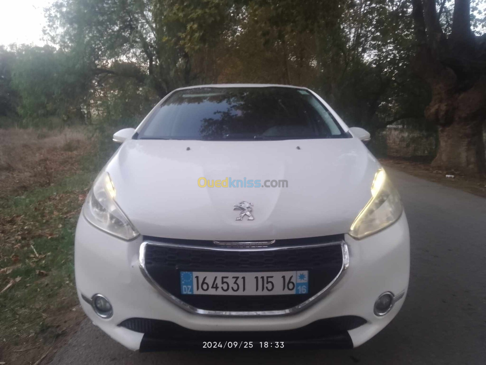 Peugeot 208 2015 Active