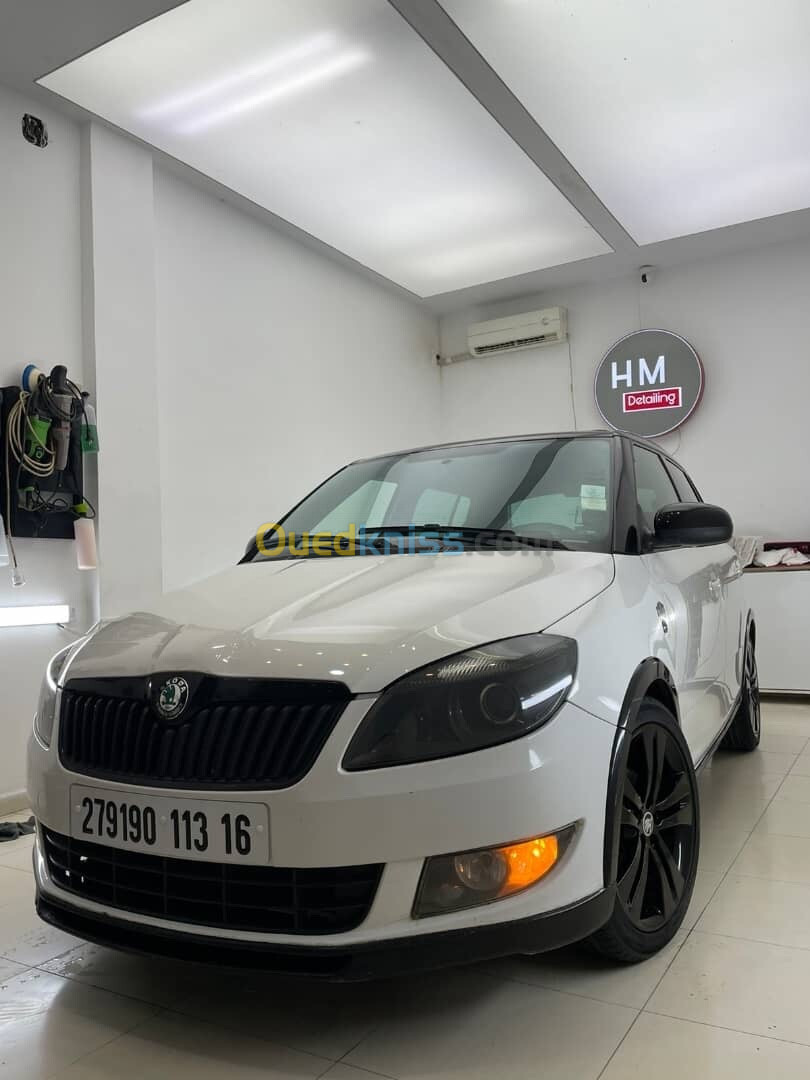 Skoda Fabia 2013 Monte carlo