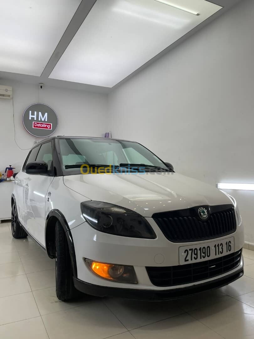 Skoda Fabia 2013 Monte carlo