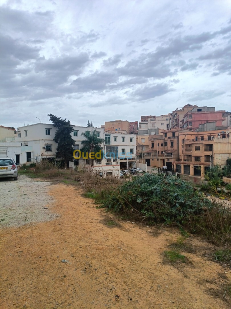 Location Terrain Alger Draria