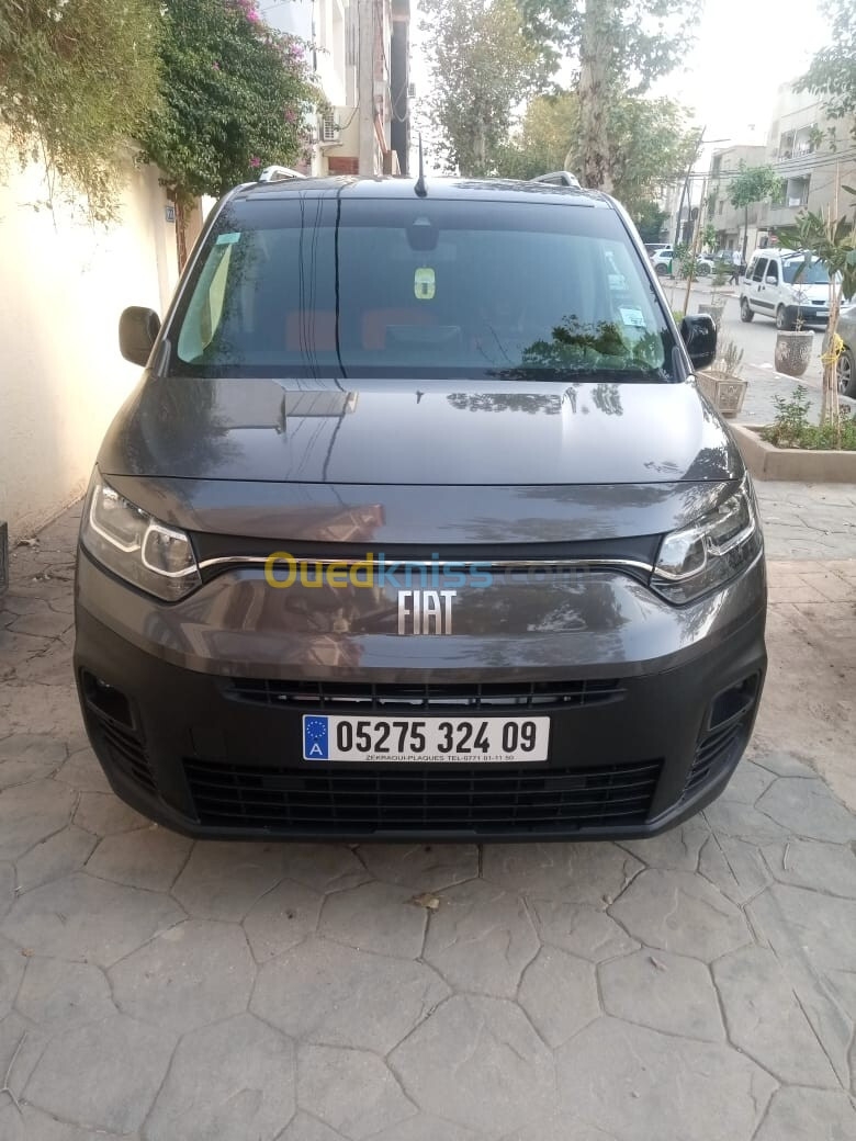 Fiat Professional Doublo 2024 