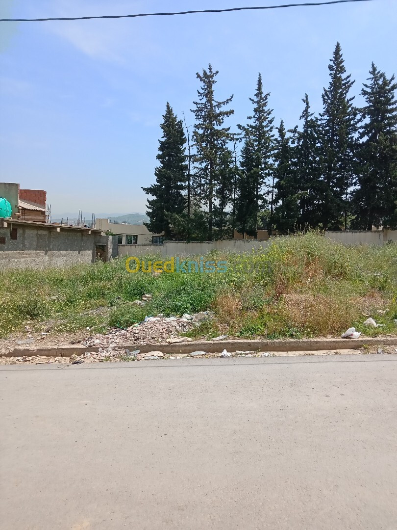 Vente Terrain Blida Bouinan