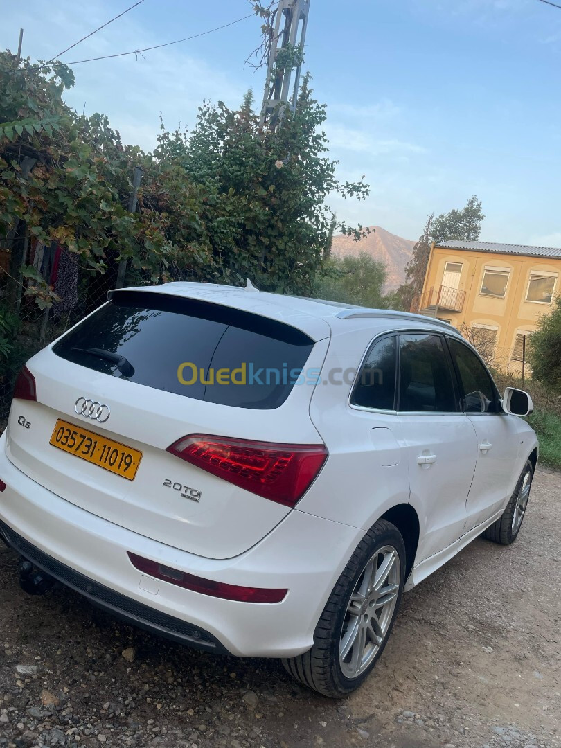 Audi Q5 2010 S Line Pack Tech