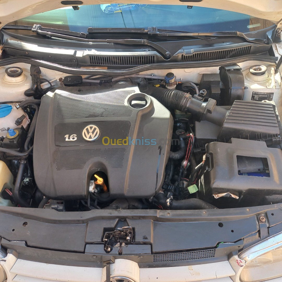 Volkswagen Golf 4 2006 Golf 4