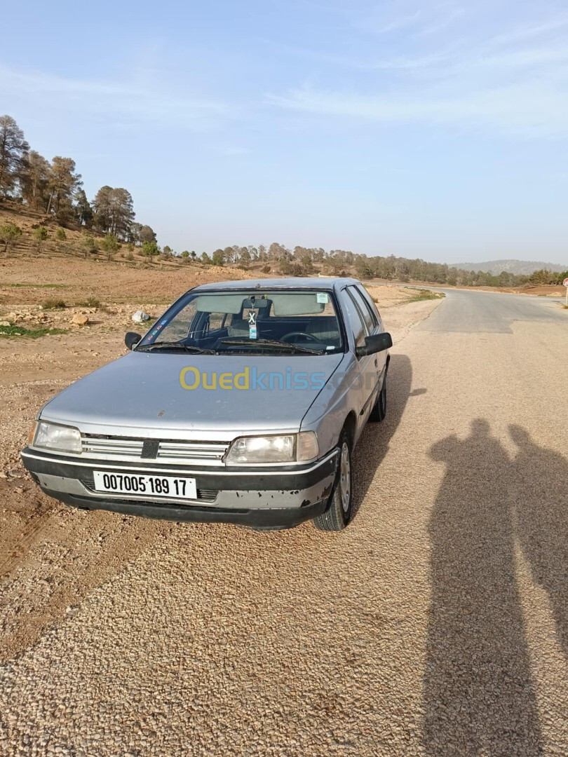 Peugeot 405 1989 405