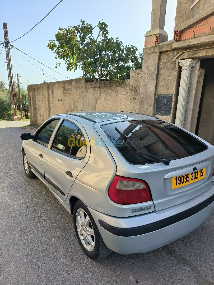 Renault Megane 1 2002 Copé