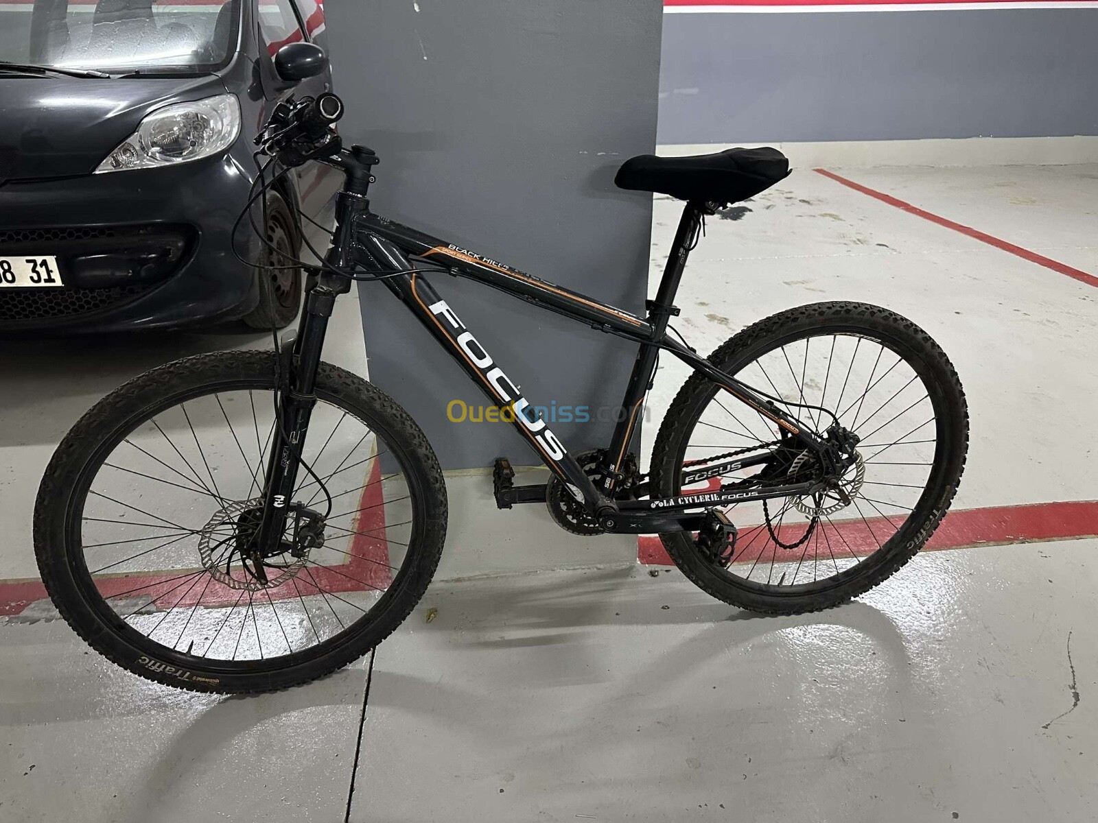 Velo focus sport