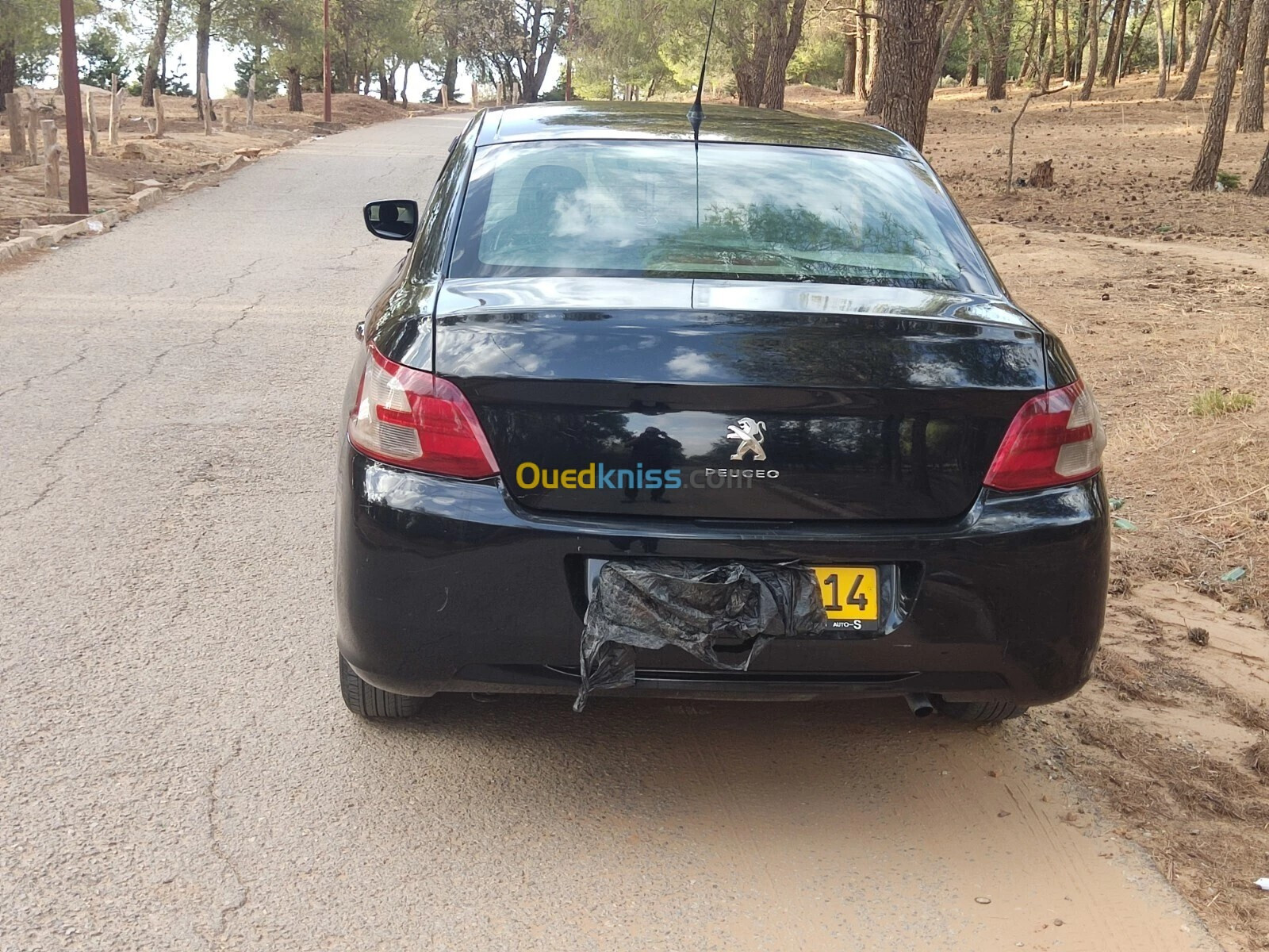 Peugeot 301 2013 Access