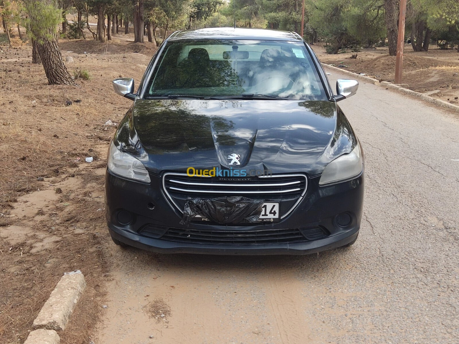 Peugeot 301 2013 Access