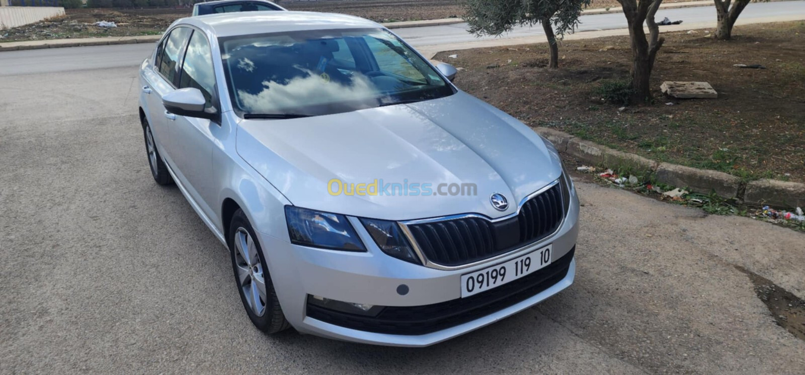 Skoda Octavia 2019 Octavia