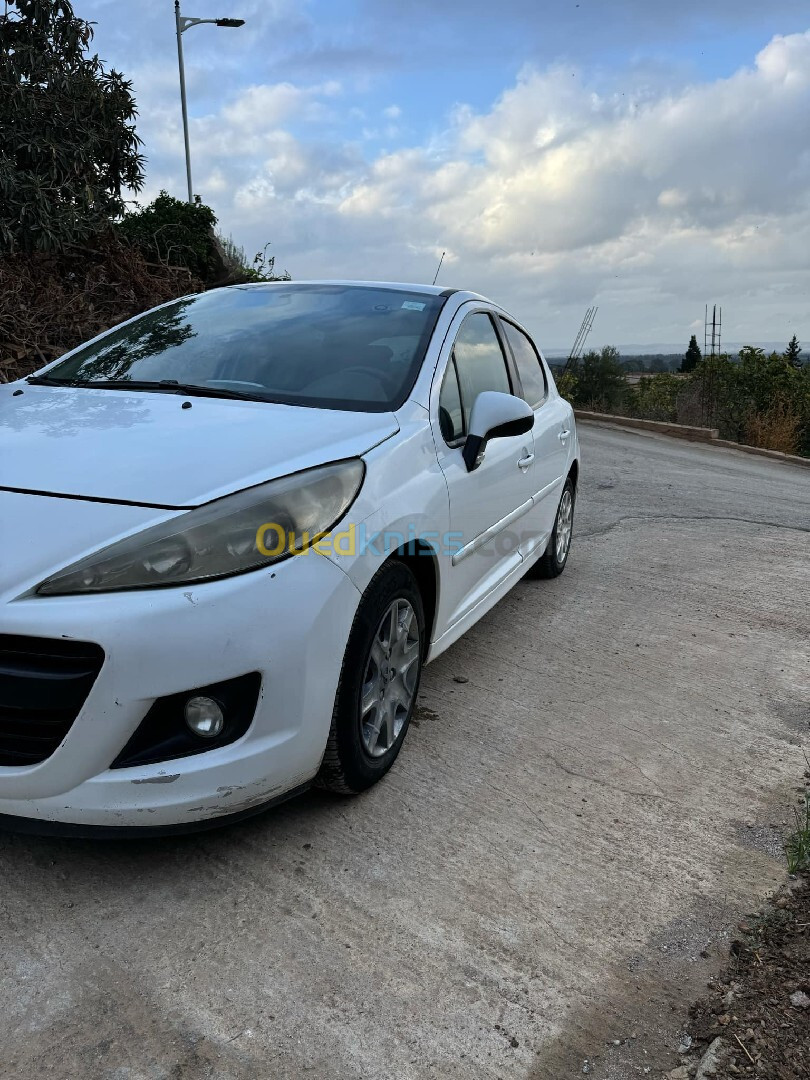 Peugeot 207 2012 Fennec