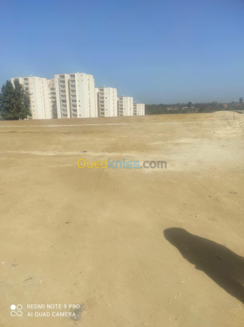 Vente Terrain Alger Souidania