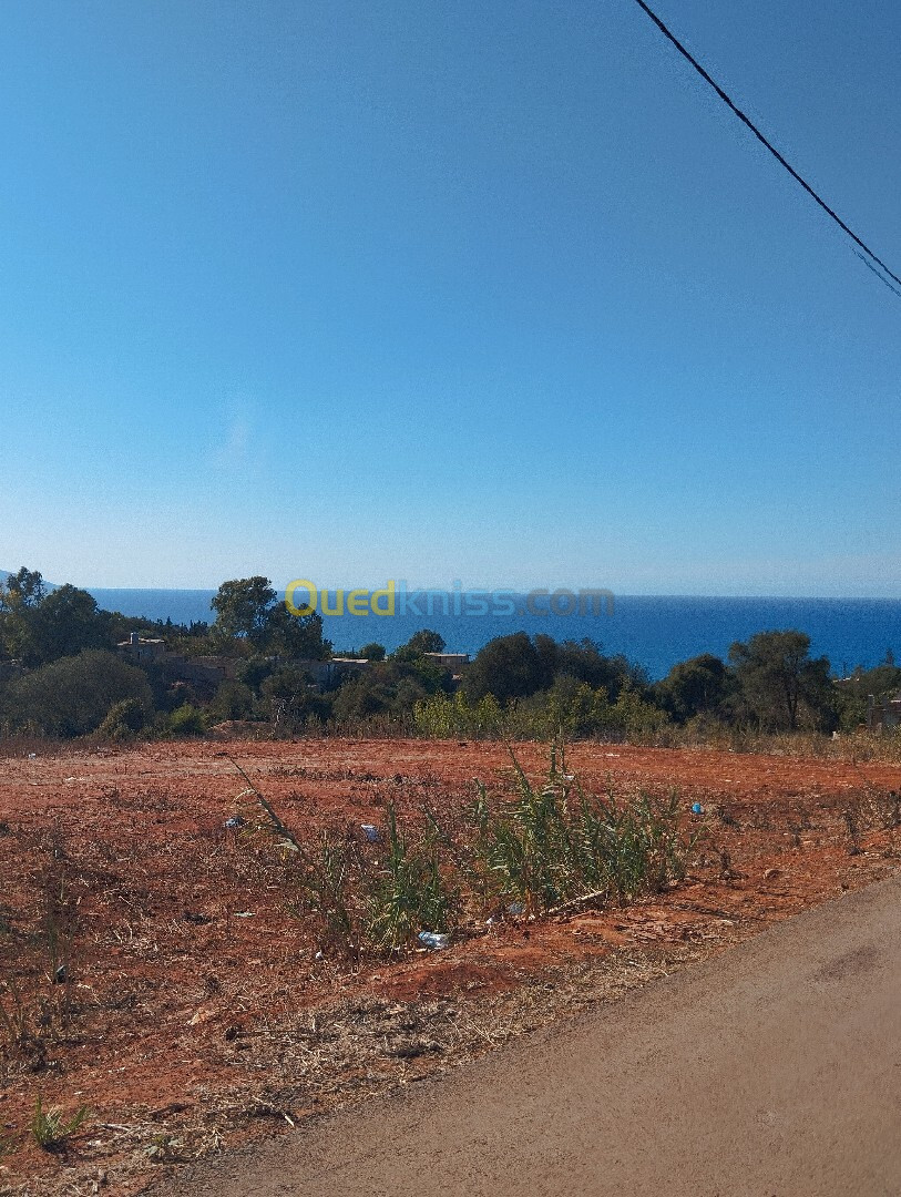 Vente Terrain Tipaza Fouka