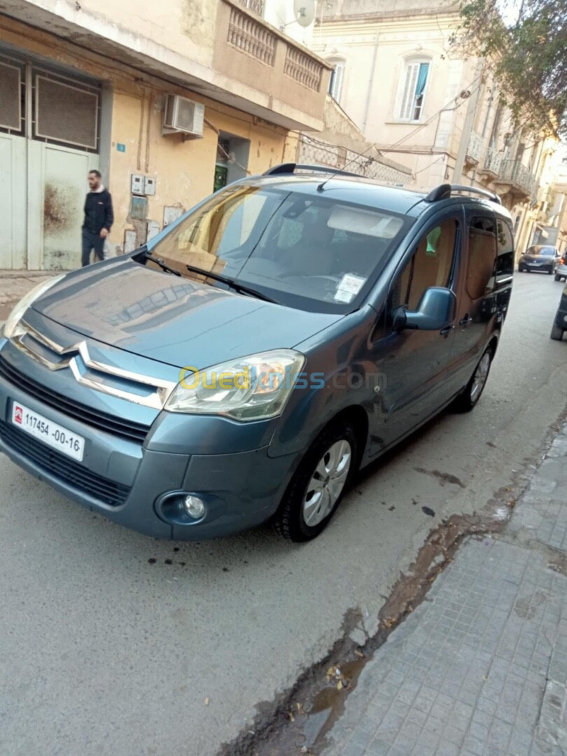 Citroen Berlingo 2010 Berlingo