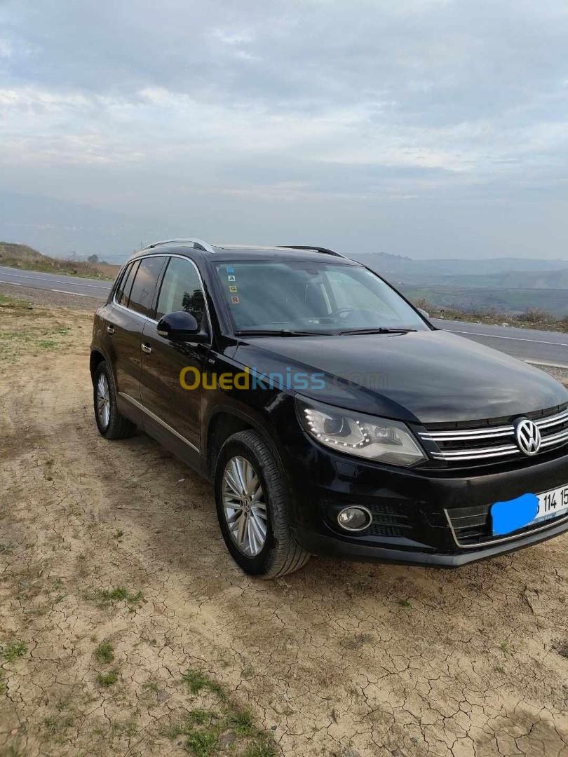 Volkswagen Tiguan 2014 Cup