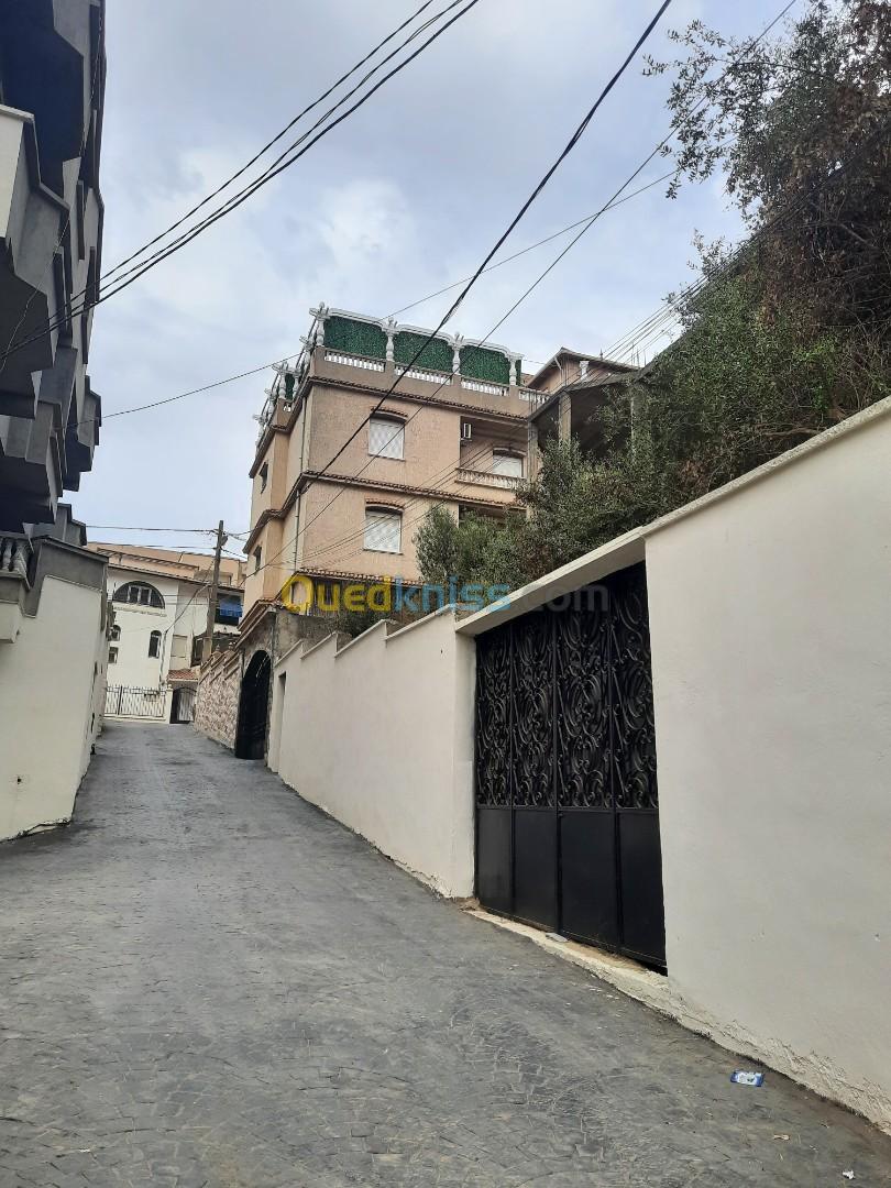 Vente Terrain Alger Ain naadja