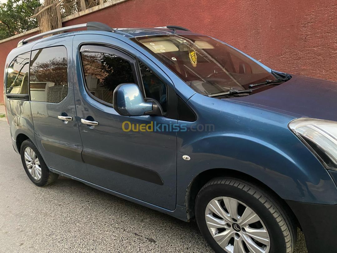 Citroen Berlingo 2015 Berlingo