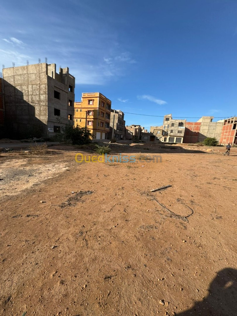 Vente Terrain Mostaganem Mostaganem