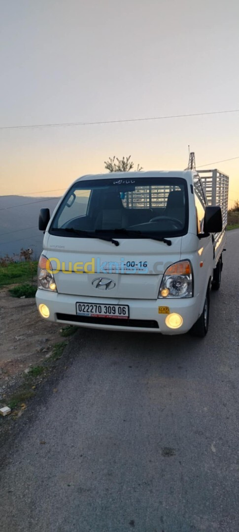 Hyundai H100 2009