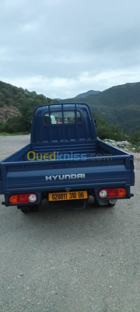 Hyundai H100 2010