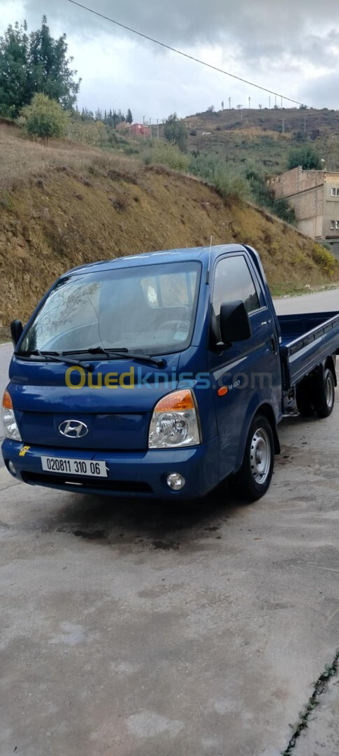 Hyundai H100 2010