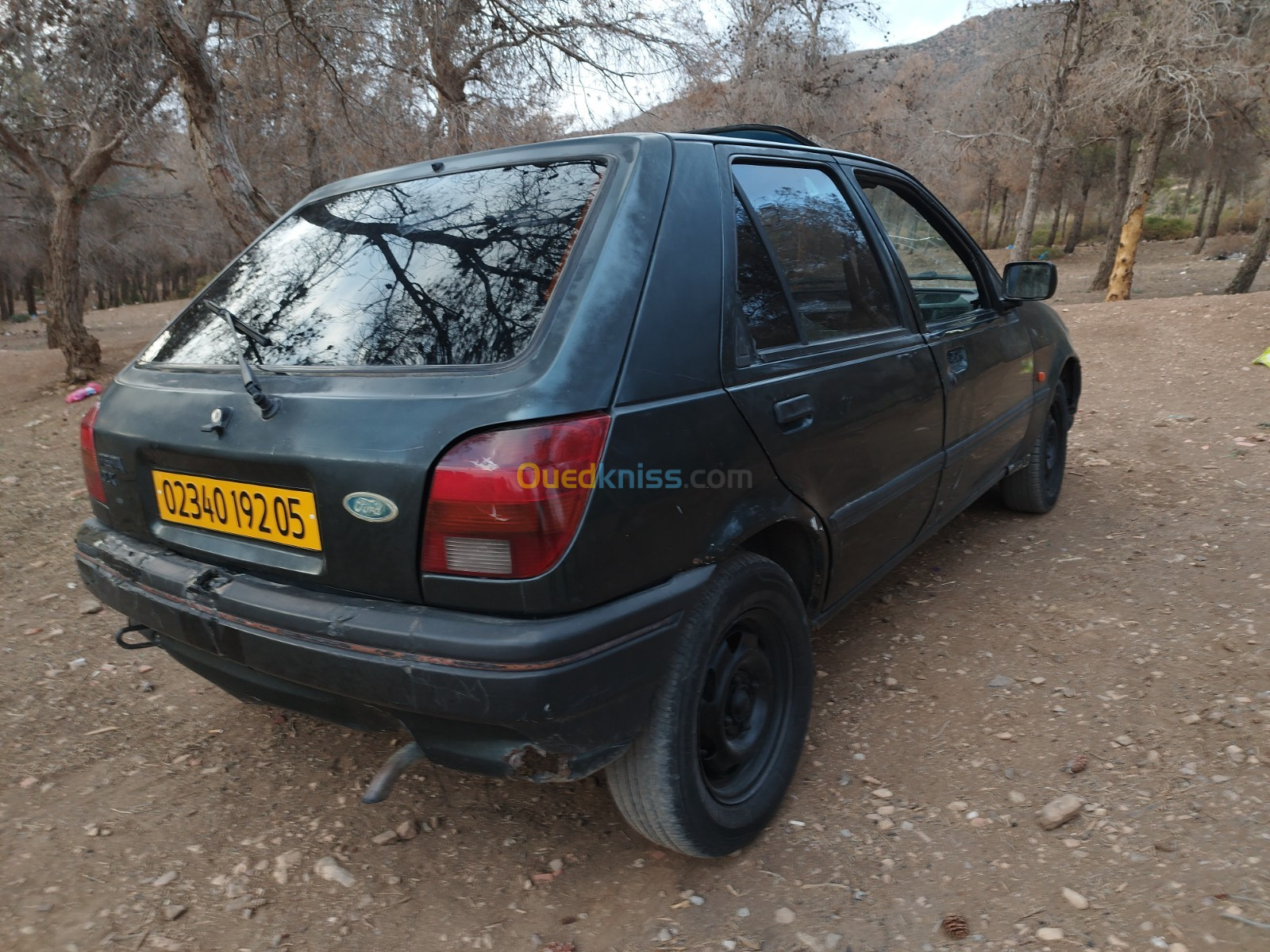 Ford Fiesta 1992 Fiesta