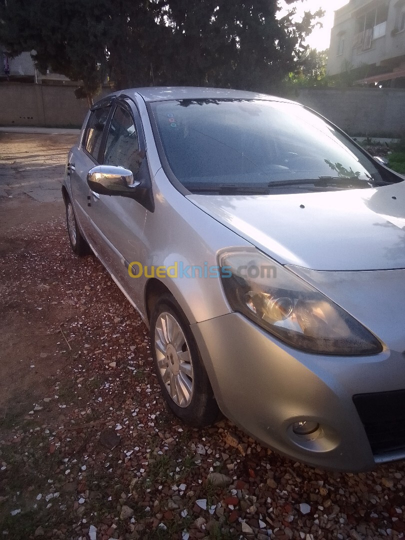 Renault Clio 3 2010 Clio 3