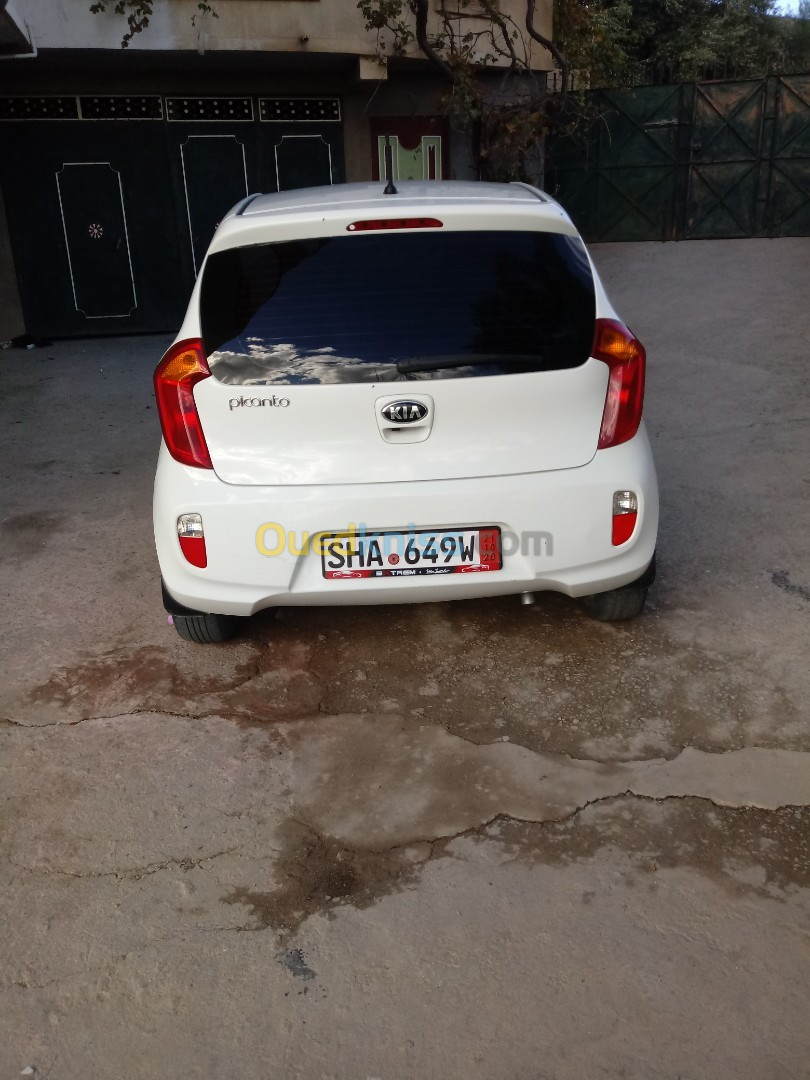 Pop + Picanto pop + 