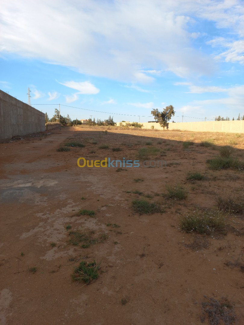 Vente Terrain Mostaganem Mesra