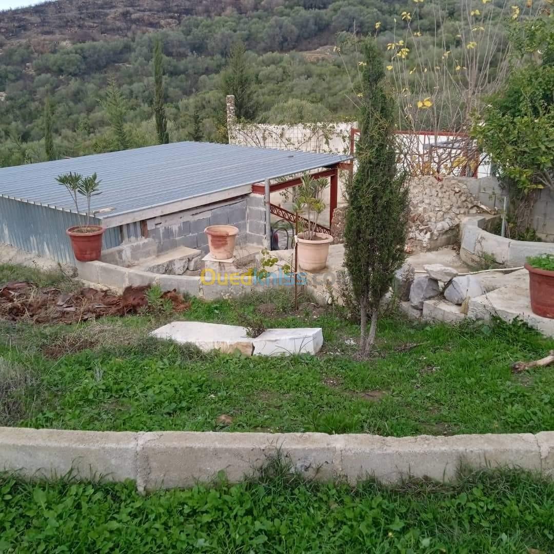 Vente Villa Skikda Bouchtata