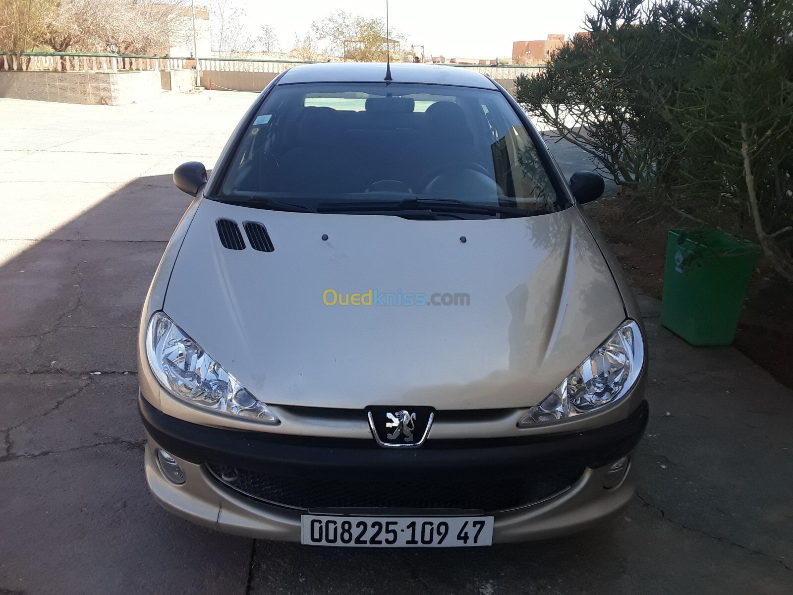 Peugeot 206 Sedan 2009 206 Sedan