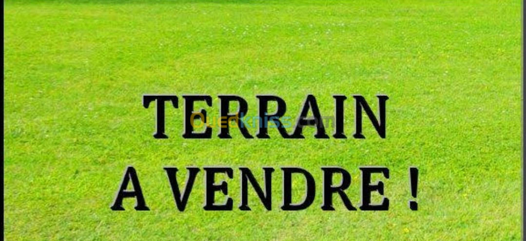 Vente Terrain Tlemcen Tlemcen